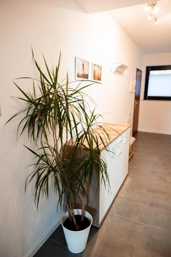 Ferienwohnung Am See - Sport Und Erholung - Wlan Winterberg Extérieur photo