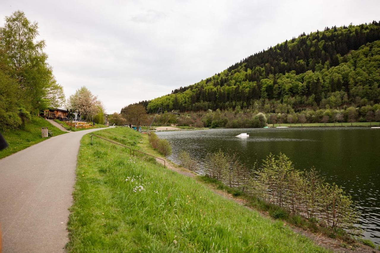 Ferienwohnung Am See - Sport Und Erholung - Wlan Winterberg Extérieur photo